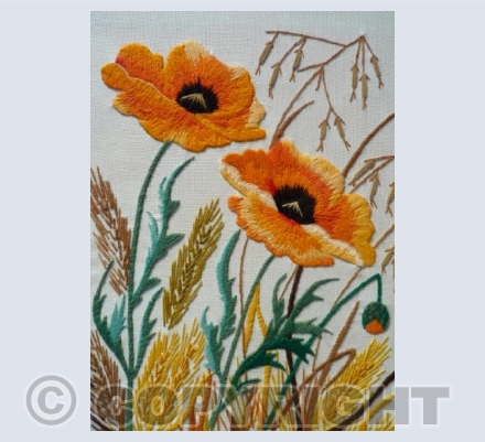 Poppies and Grasses