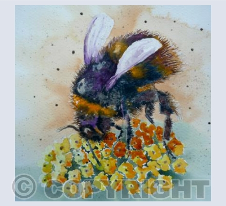 Bee kind