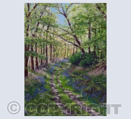 The Last Bluebells