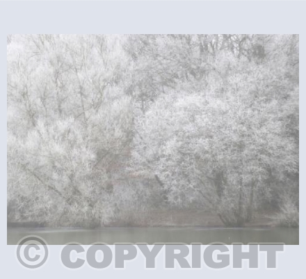 Pioneer Pond in Frost