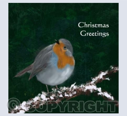 ROBIN ON A SNOWY BRANCH