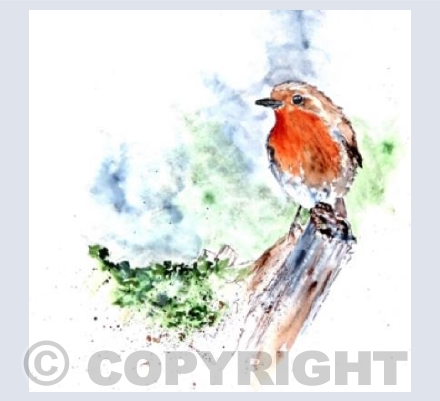 ROBIN ON A BRANCH