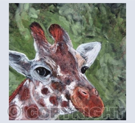 Giraffe