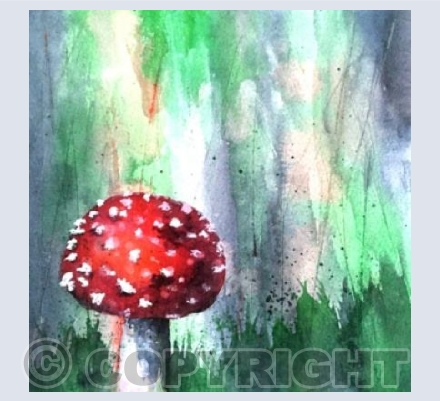 FLY AGARIC