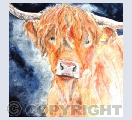 MOO!