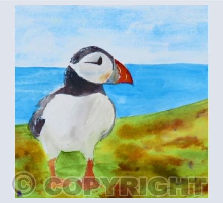 PUFFIN 1