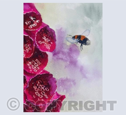 FOXGLOVE AND BEE