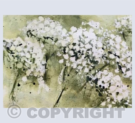 COW PARSLEY