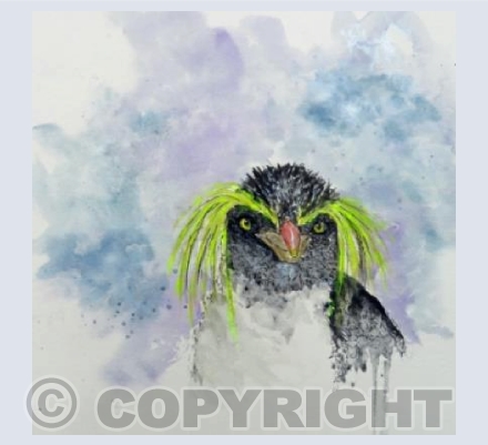 ROCKHOPPER PENGUIN