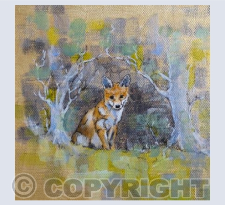 Fox Cub