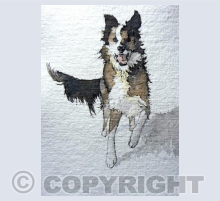 Alfie