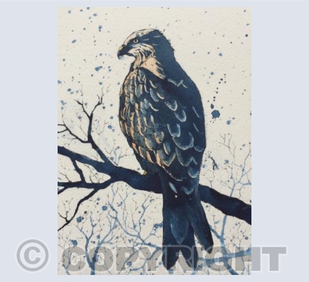 Red Kite