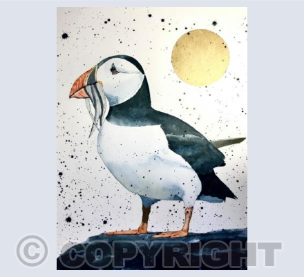 Puffin