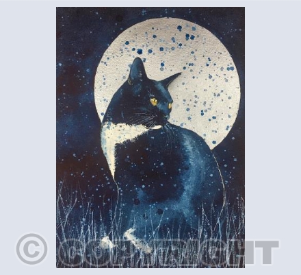 Home Before Midnight 