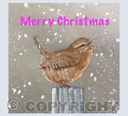 Wren