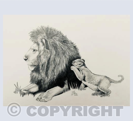 Lion and cub