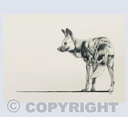 African painted dog