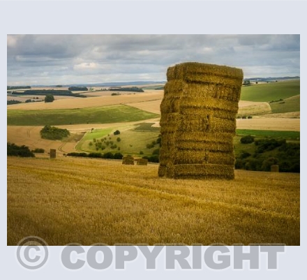 Wiltshire Fields