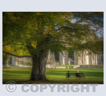 Glastonbury Abbey Grounds