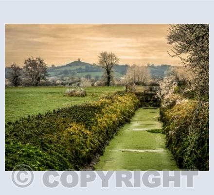 Somerset Levels