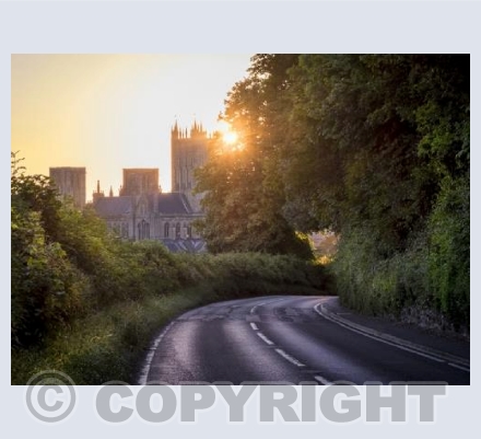 Wells Cathedral from Tor Wood