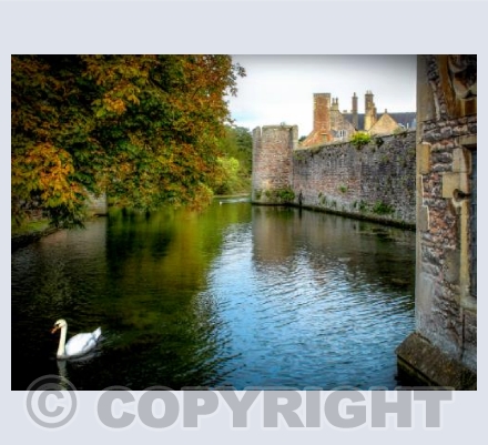 Bishop's Palace, Wells