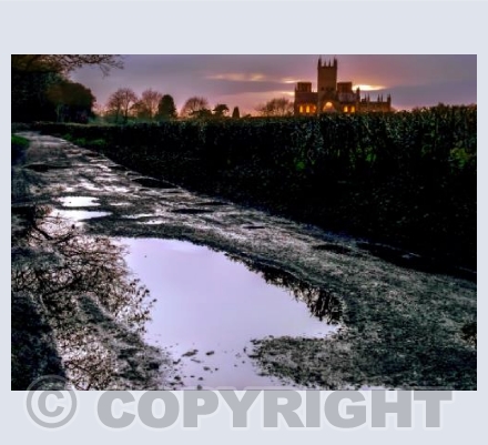 Wells Cathedral at Night from Tor Woods