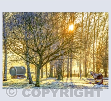 Winter Refuge
