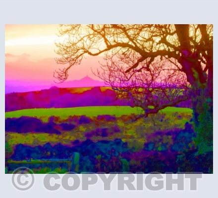Glastonbury Trip