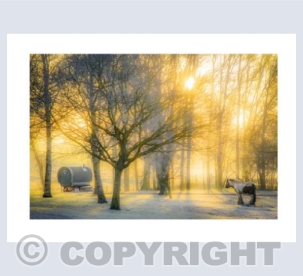 Winter Refuge