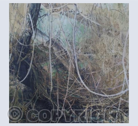 Fox Shadow/Honeysuckle