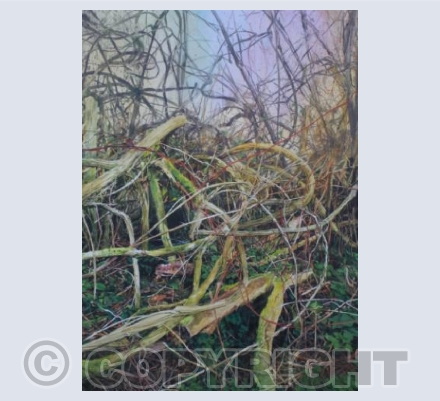 Honeysuckle, symbolic of relationships