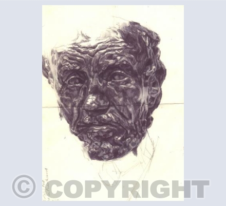 The Man with the Broken Nose (after Rodin)