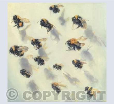 Tell the Bees 65-71