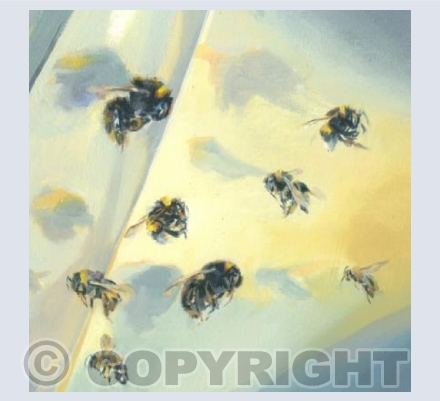 Bumble Bee 246-253