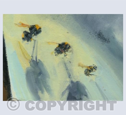 Bumble Bee 298-300