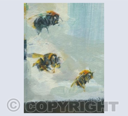 Bumble Bee 310-312