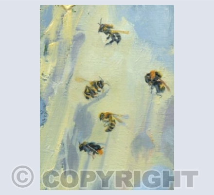 Bumble Bee 284-288