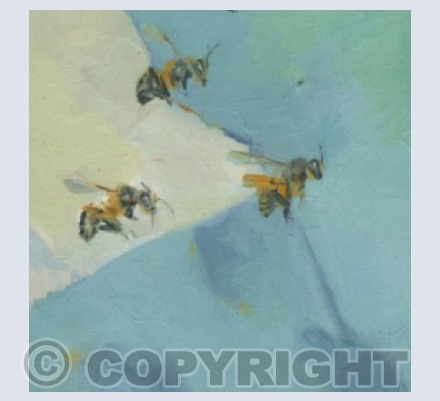 Three Honey Bees