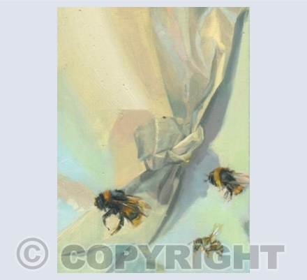 Telling Bees 387-9 A Second Wedded Knot