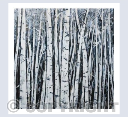 'Off the beaten track'