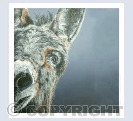 Donkey