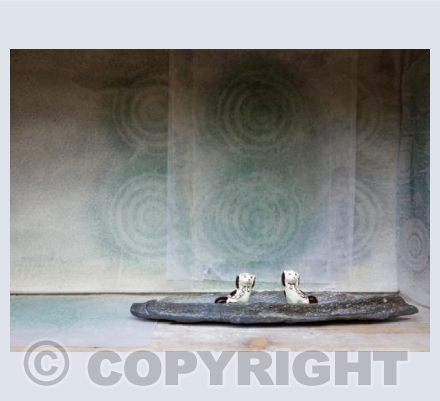 Cwn yn Gadael/Departing Dogs