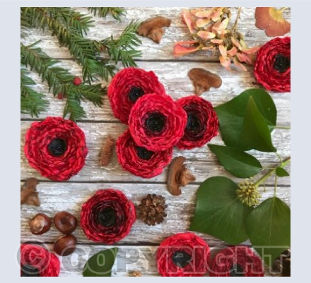 Autumn poppies