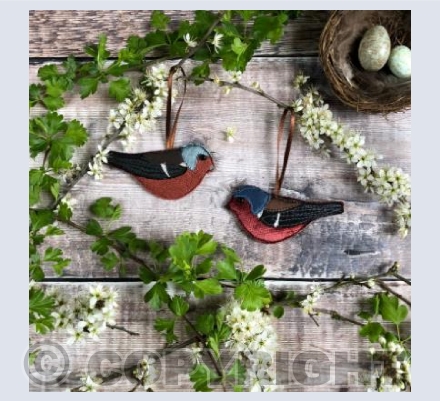 Nesting Chaffinch