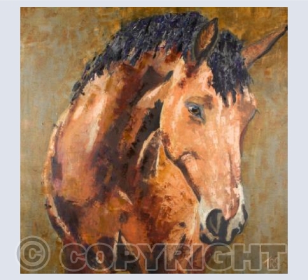 Bay Horse