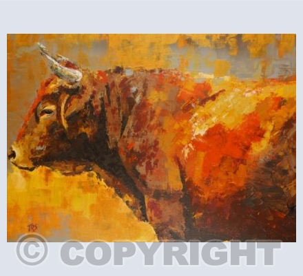 A bull named Majestic
