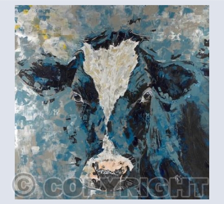 Friesian Cow