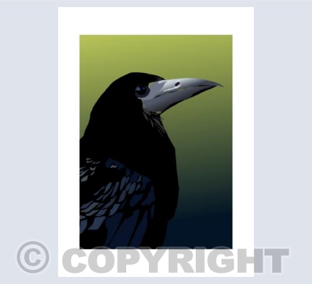 ROOK Portrait