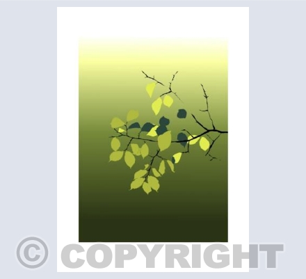 TREE in Spring